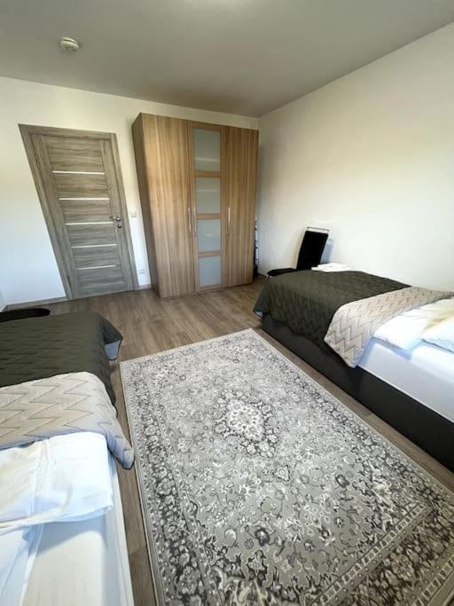 Familienwohnung Naehe Europapark, Messe, Gifiz See Оффенбург Екстер'єр фото